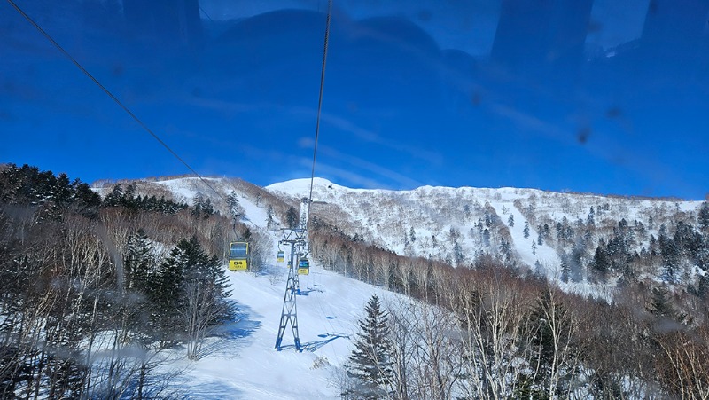 20260220_094621.jpg